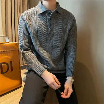 Muški džemper Klasicni Tekstura, Polo majica s odbačenost ovratnik, jesen-zima, Svakodnevne Čvrsta kopča, Pletene veste, majice, puloveri