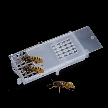 Pčelinji Alat Pčelinje Transportne Stanice Pčelinji Kuća Košnica Bijela prozirna Pčelinji Stanica